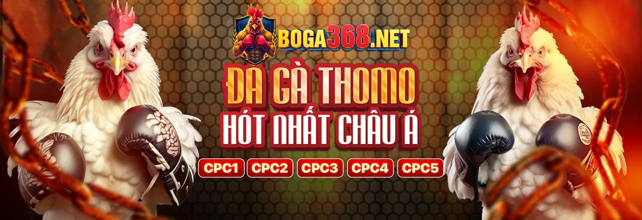 Đá gà trực tuyến tại awin68